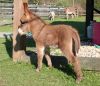 Reba5-13-07_03.jpg