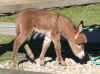 Reba5-5-07_04.jpg