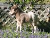 Misty5-25-08-11.jpg