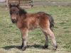 Cory04-18-2011_01.jpg