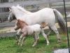 Toby_09-11-2011_06.jpg